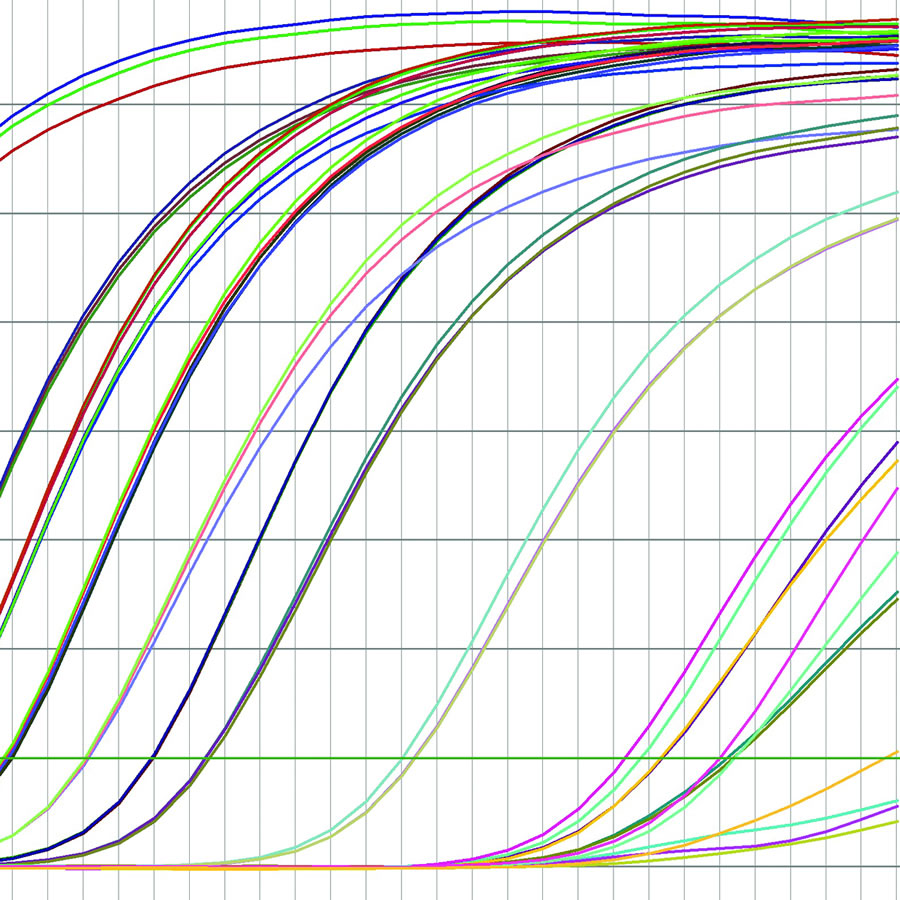 rna detection