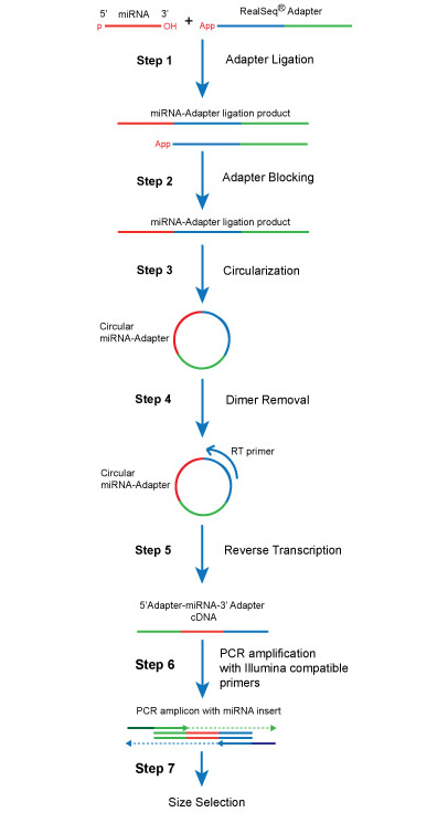 real seq fig 05